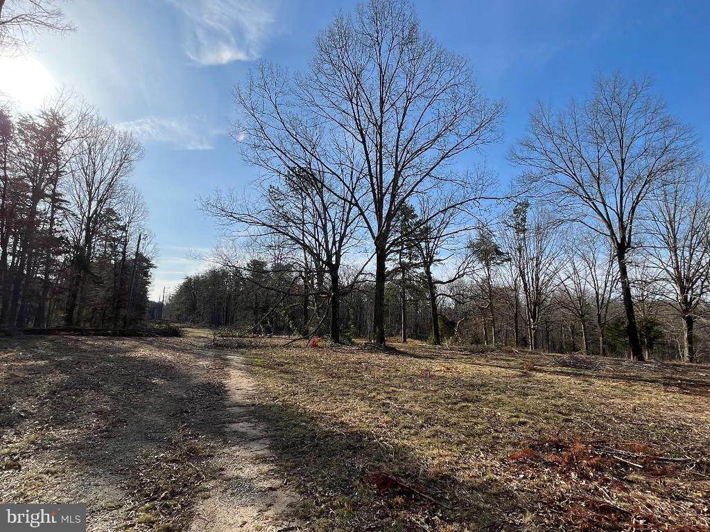 Kentucky Springs Rd - Photo 1