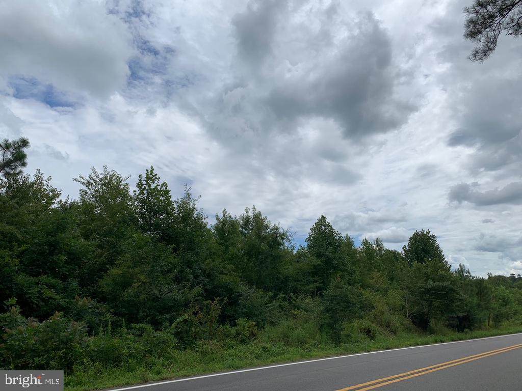 10957 Jefferson Hwy - Photo 1