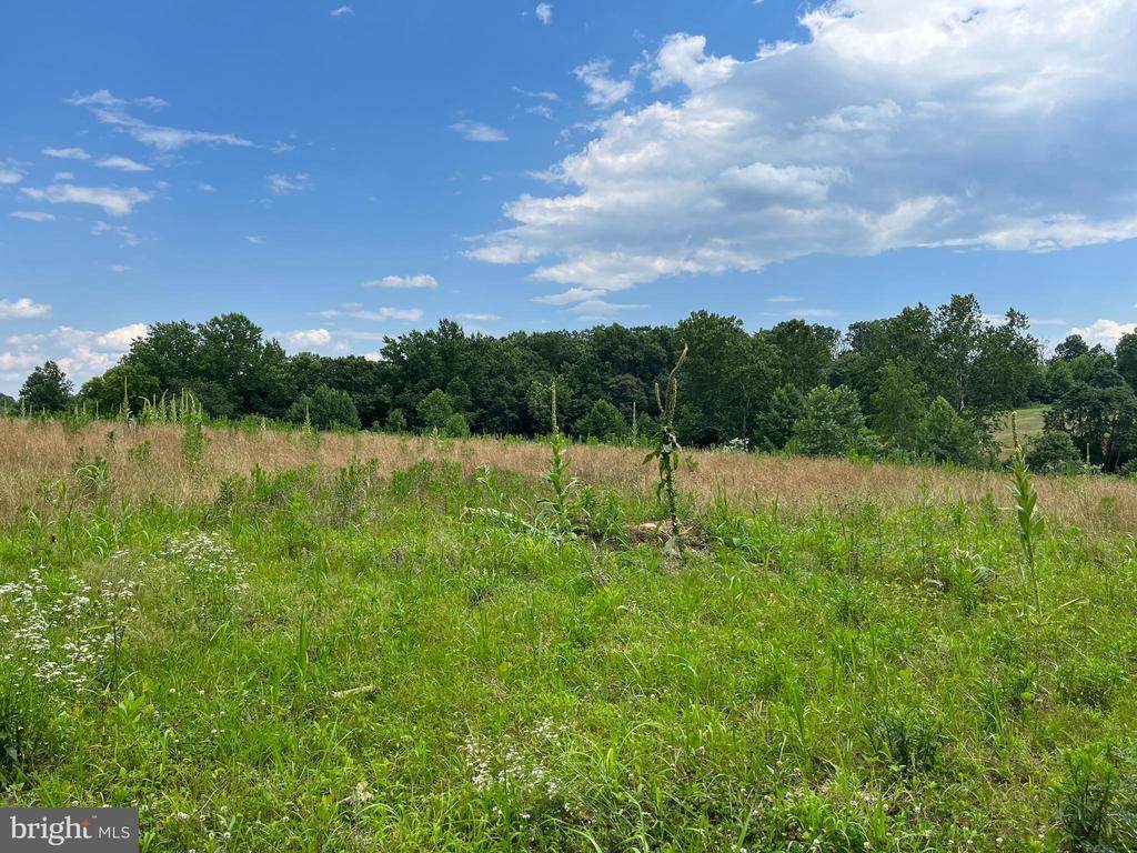 Turkey Ridge Rd - Photo 1