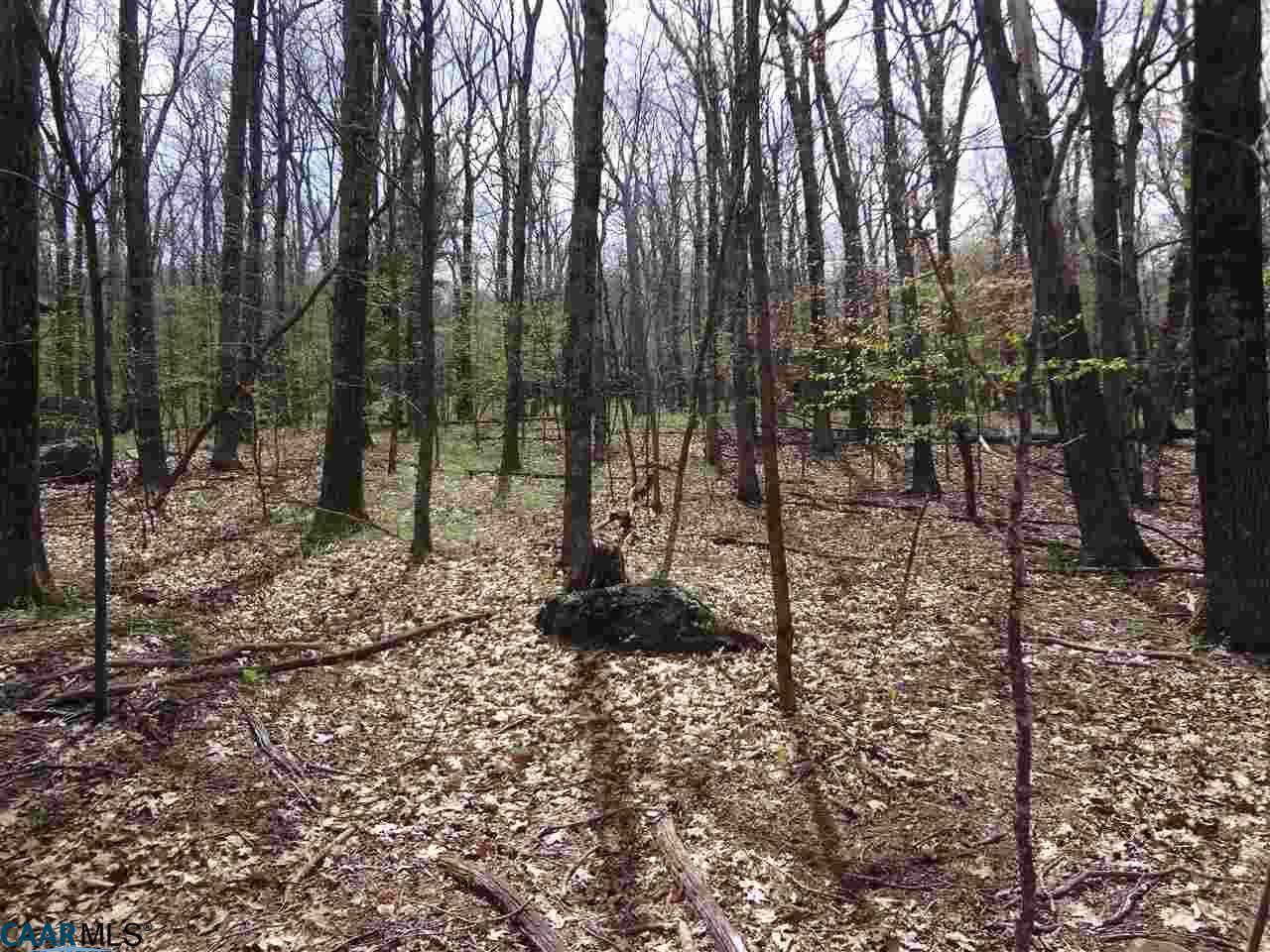 270 Timber Camp Dr - Photo 1
