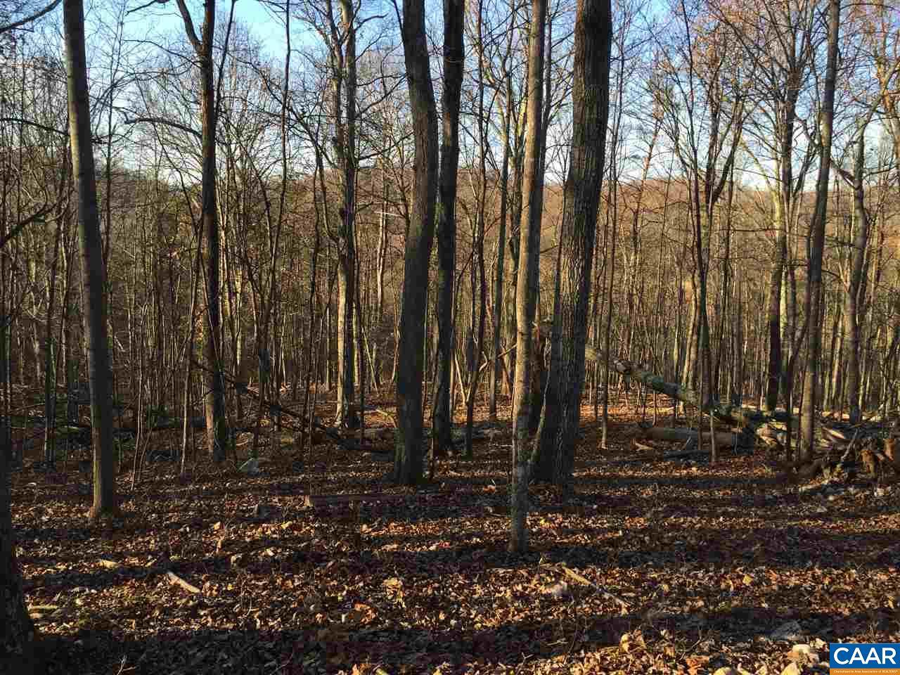G1 Quartz Hill Ln - Photo 1