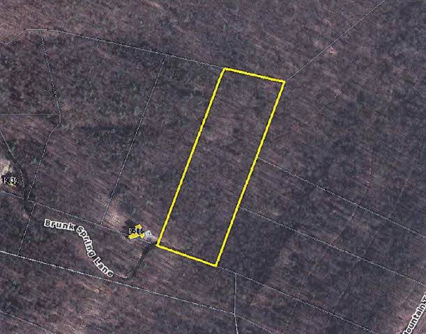 TBD Brunk Spring Ln - Photo 1
