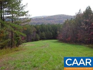 tbd Crimora Mine Rd - Photo 1
