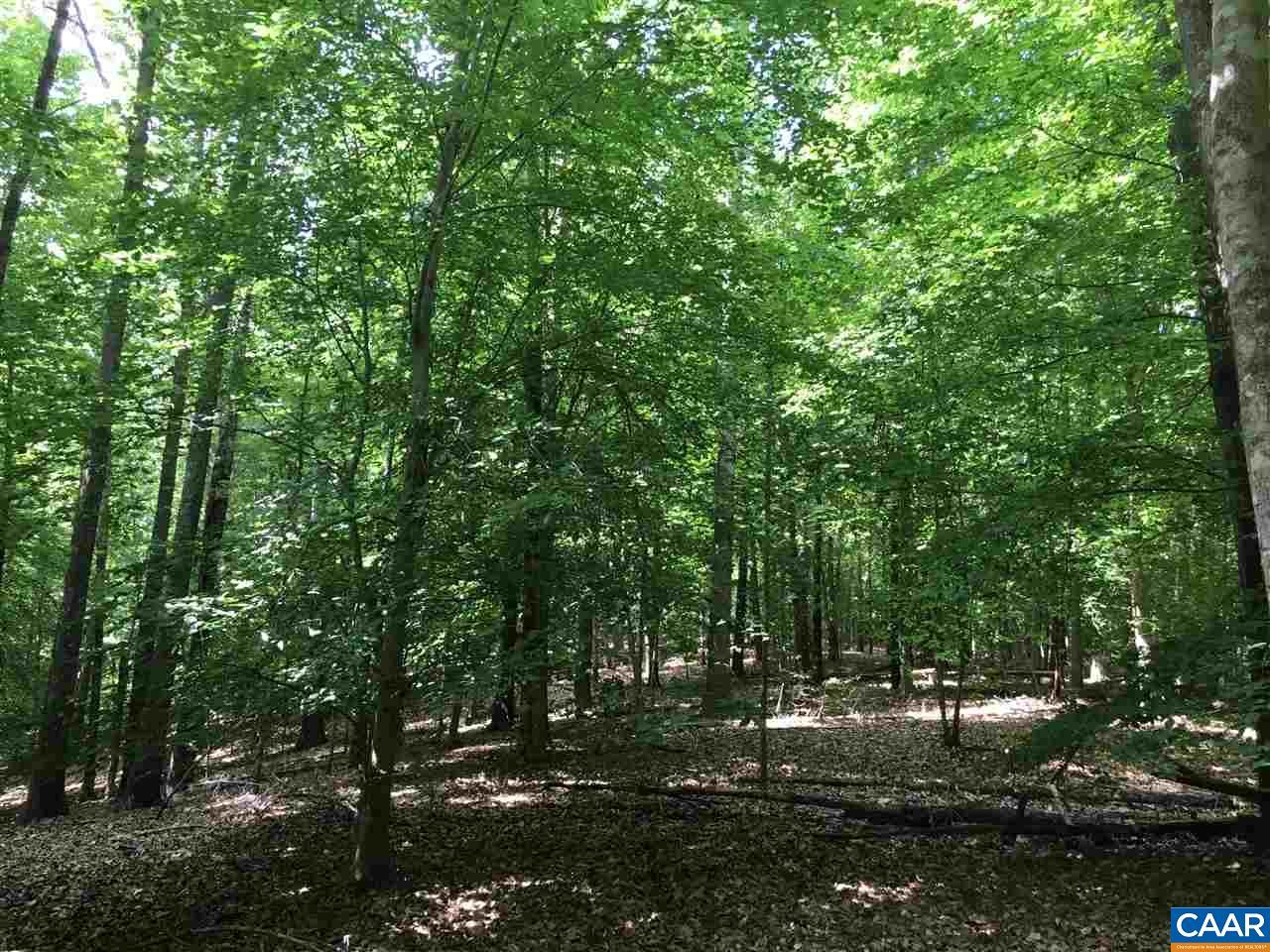 Lot 23 Winding River - Photo 1