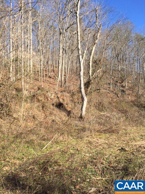 8 ac. / lot 11 Rockfish River Rd - Photo 1