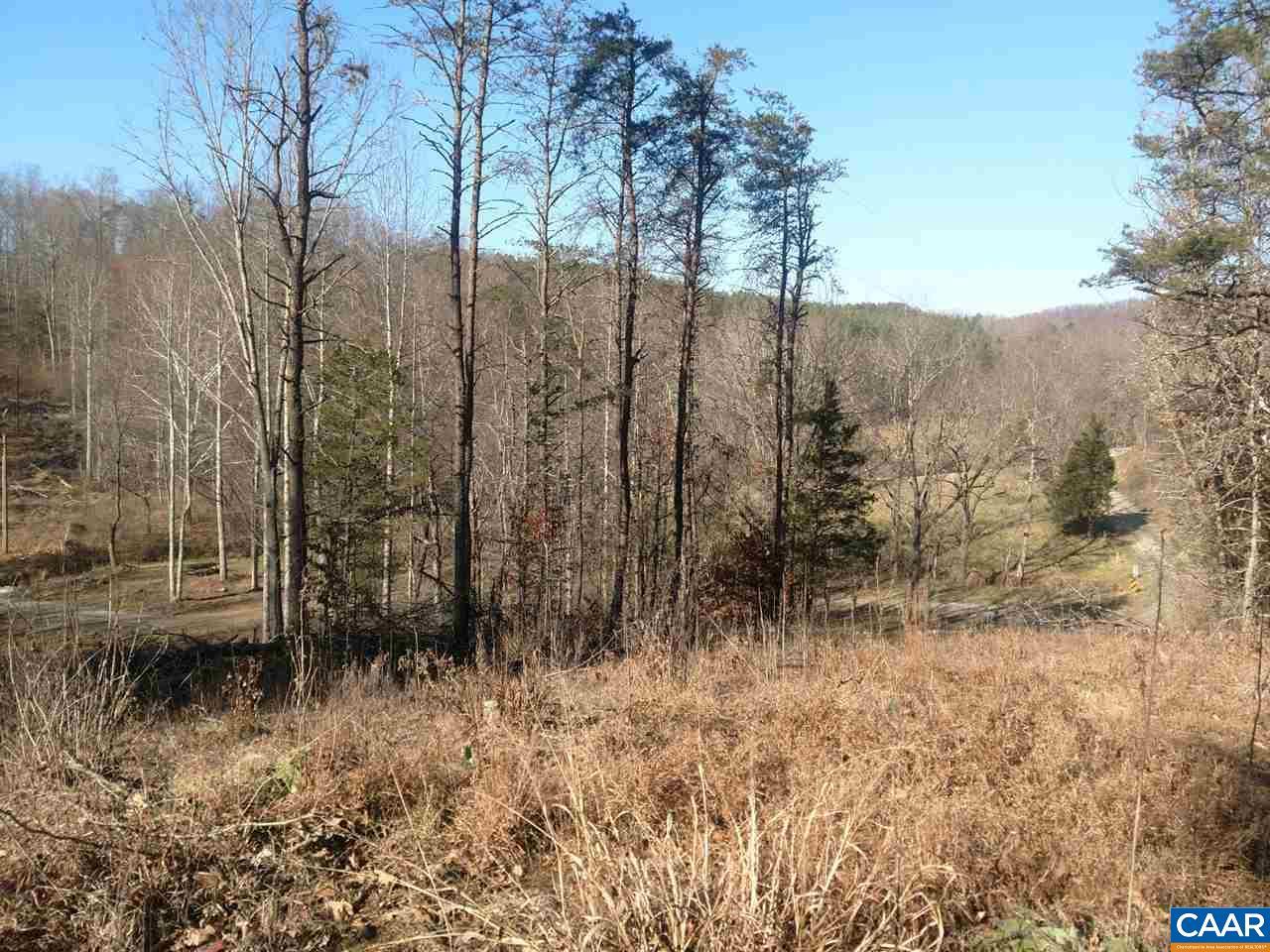 TBD Buck Creek Ln - Photo 1