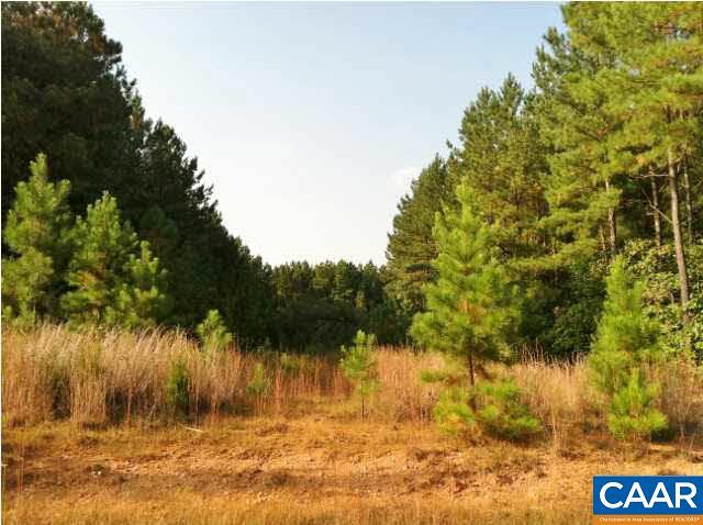 Lot 66 Country Hill Ln - Photo 1