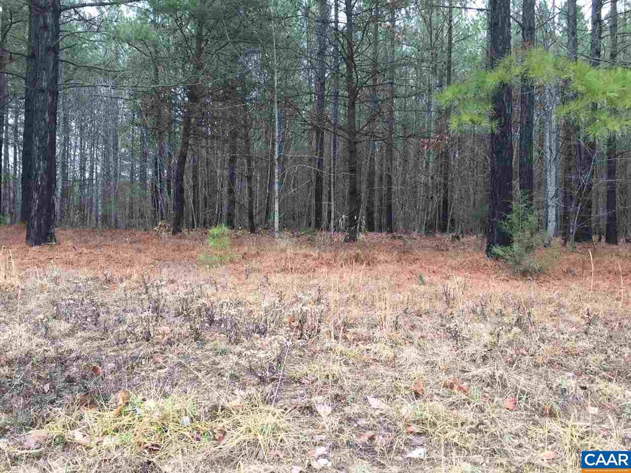 Georgia Creek Rd - Photo 1