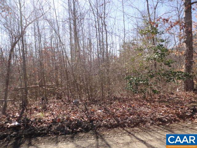 State Rte 714 Riding Club Rd - Photo 1