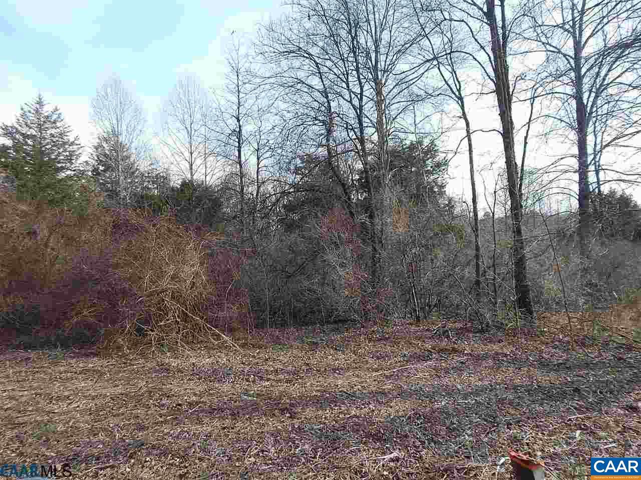 0 Daffodil Rd - Photo 1