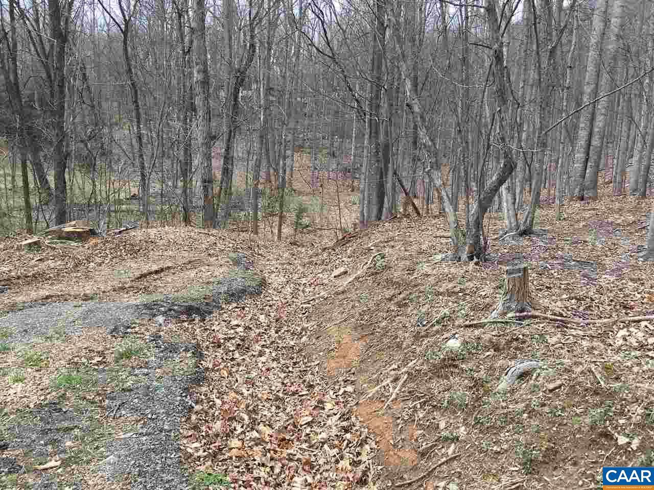299 Crawfords Climb - Photo 1