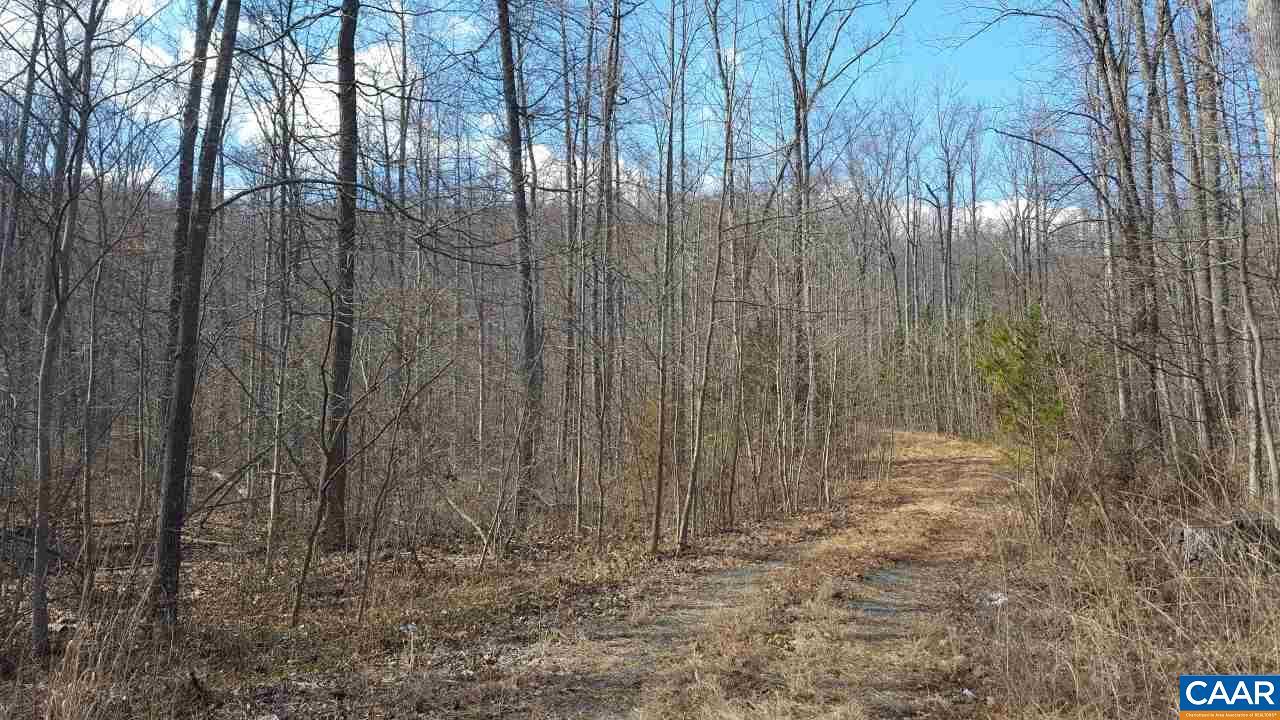 Monacan Trail Rd - Photo 1