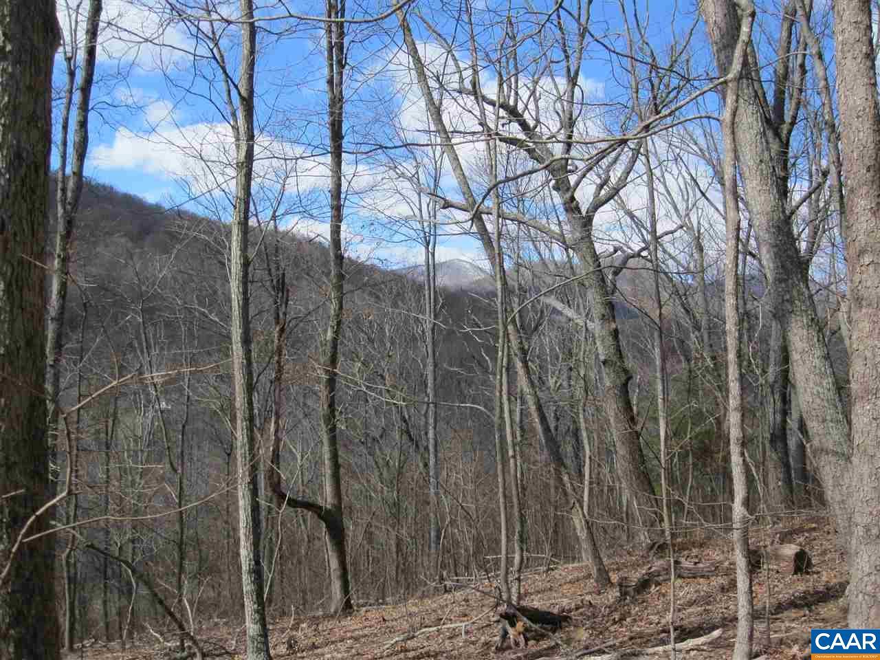 1580 Weakley Hollow Rd - Photo 1