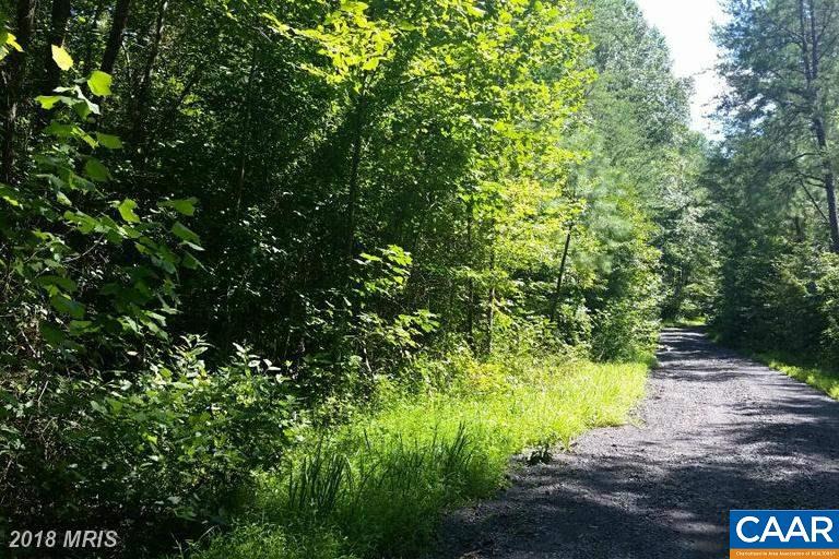 0 Port Rapids Rd - Photo 1