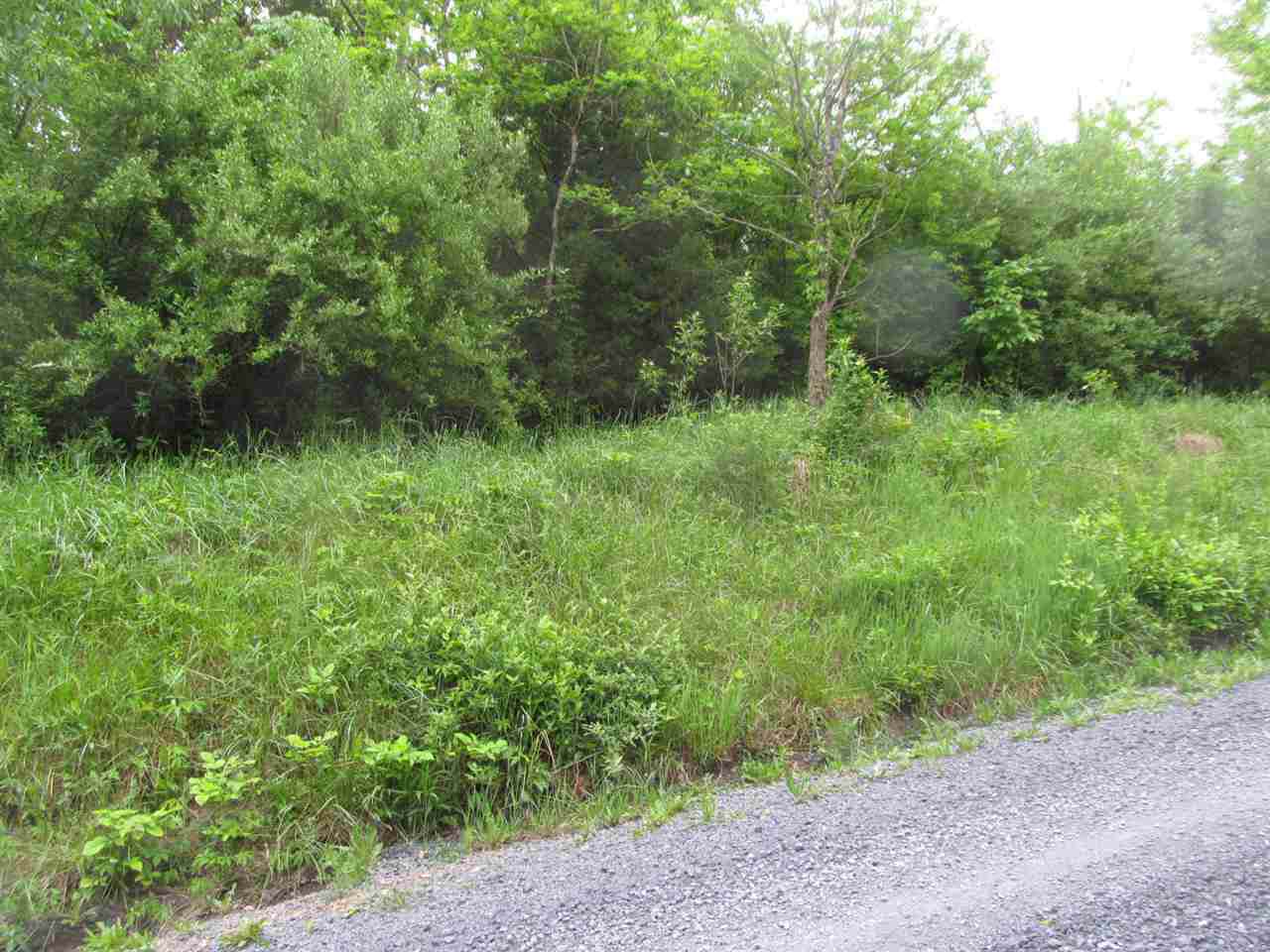 Lot 248 Quail Rd - Photo 1