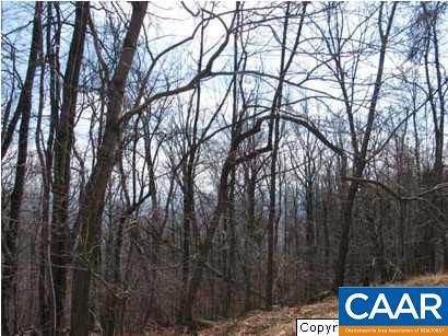 1663 Crawfords Climb - Photo 1