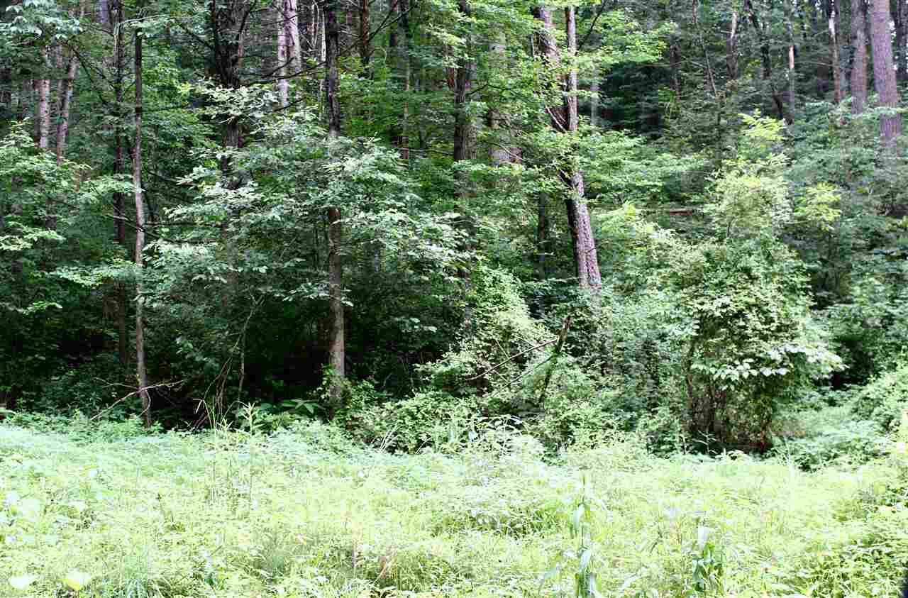 0 Shell Hollow Ln - Photo 1