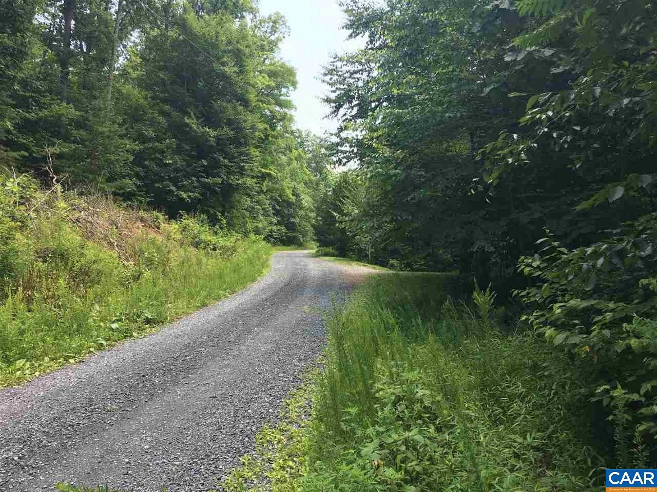 000 Crawfords Knob Ln - Photo 1