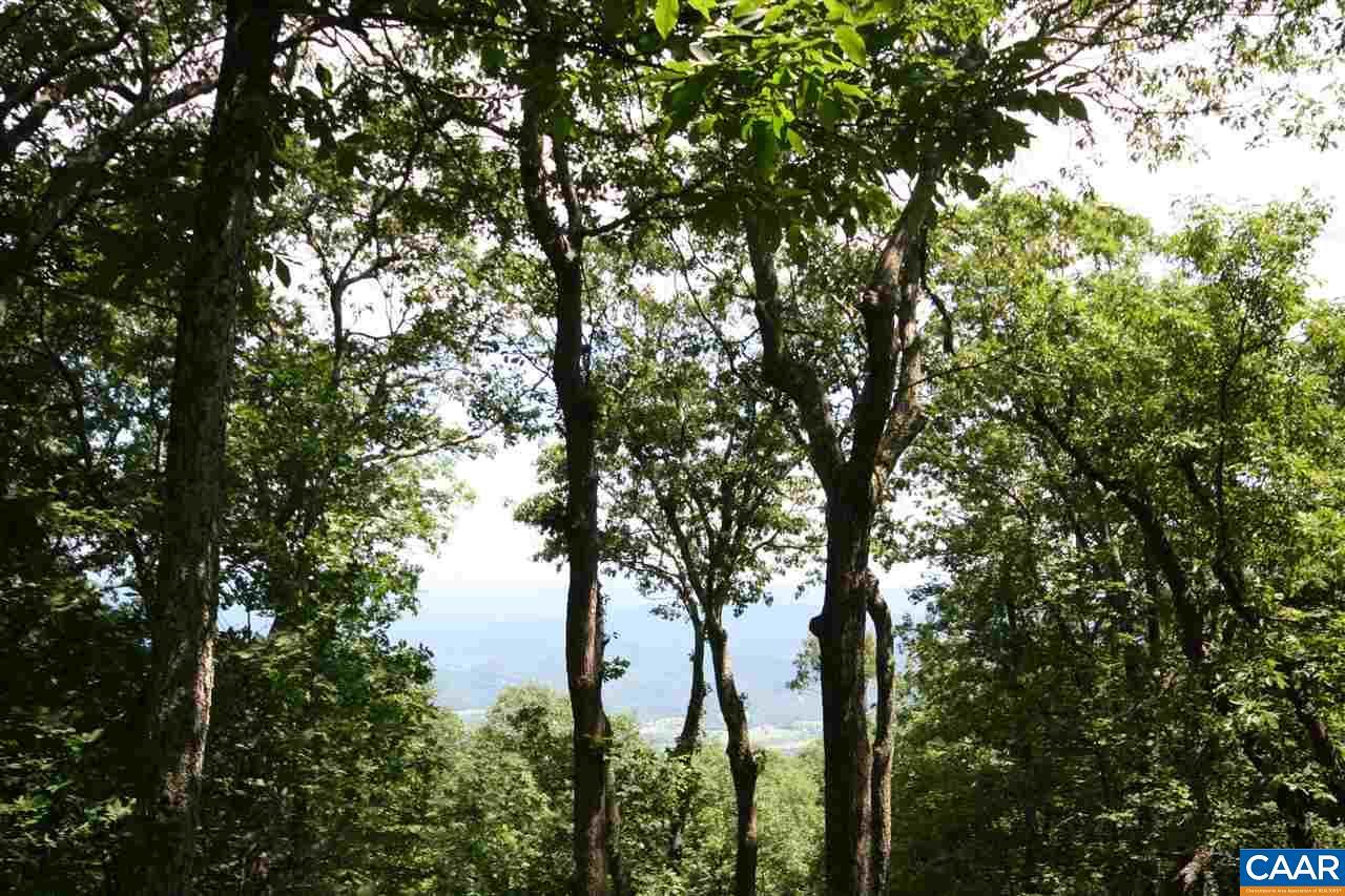 256 Pedlars Edge Dr - Photo 1