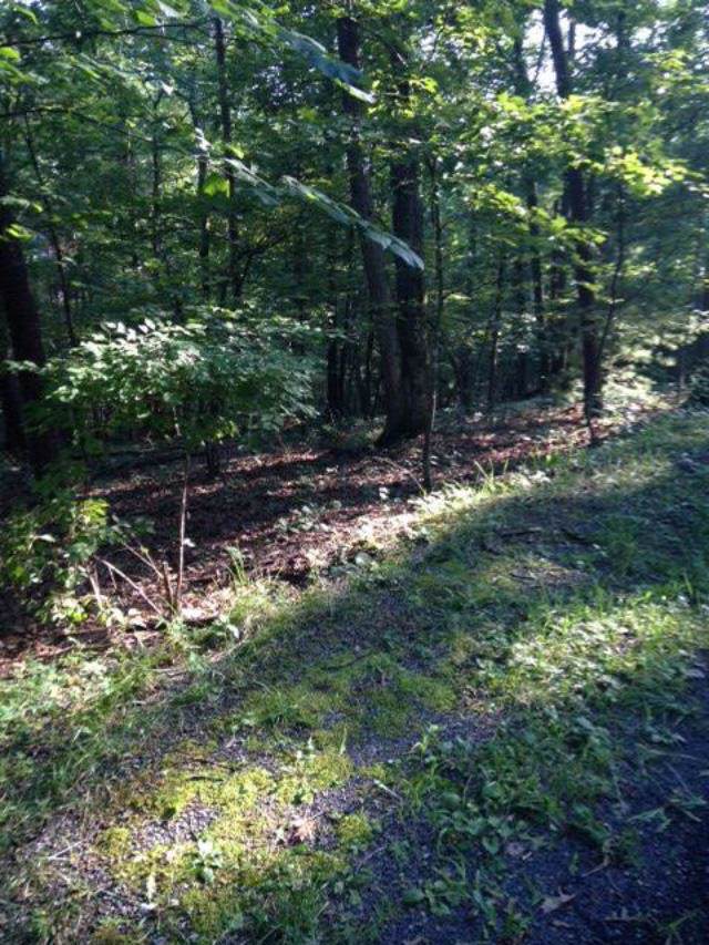 0 Lee Dr - Photo 1