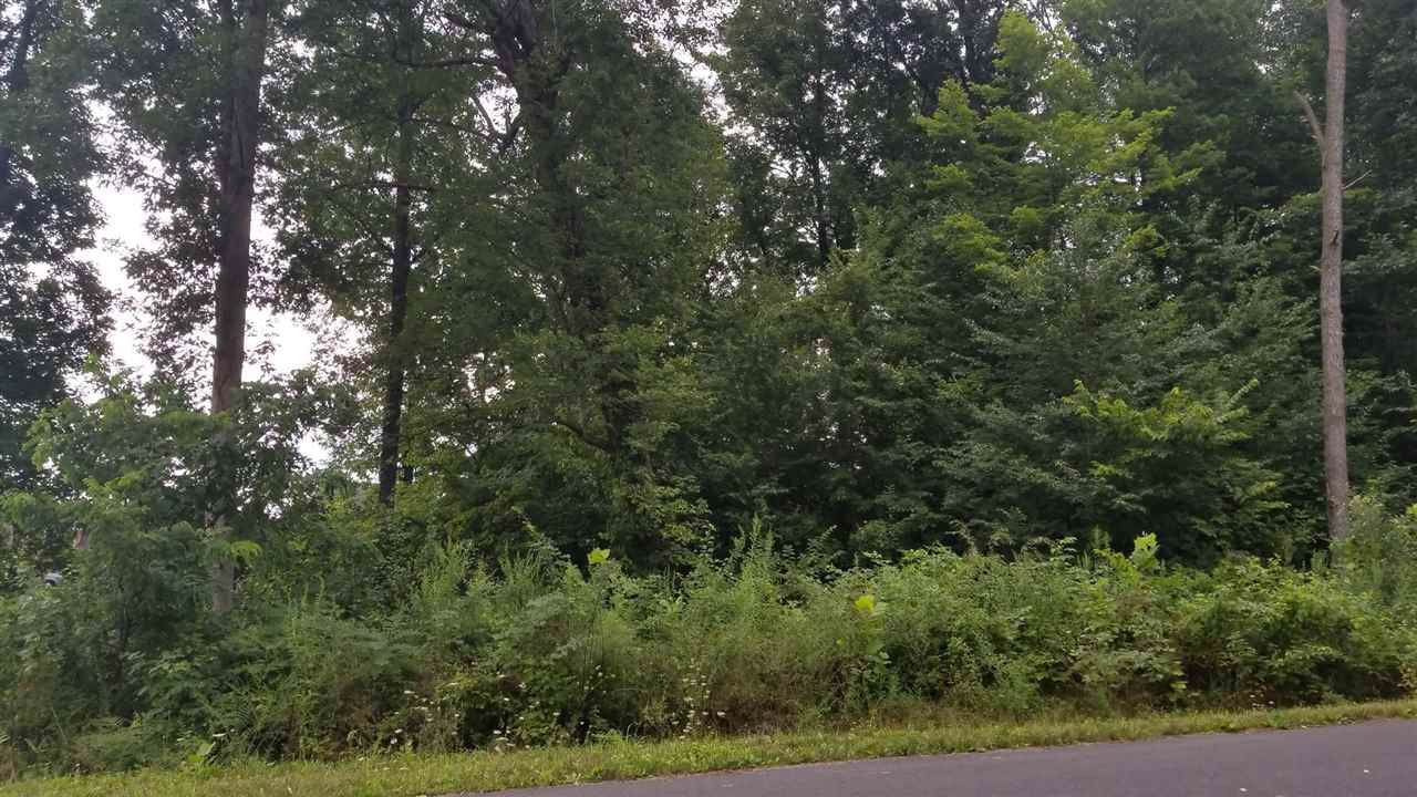TBD Traveler Rd - Photo 1 TBD Traveler Rd - Photo 1