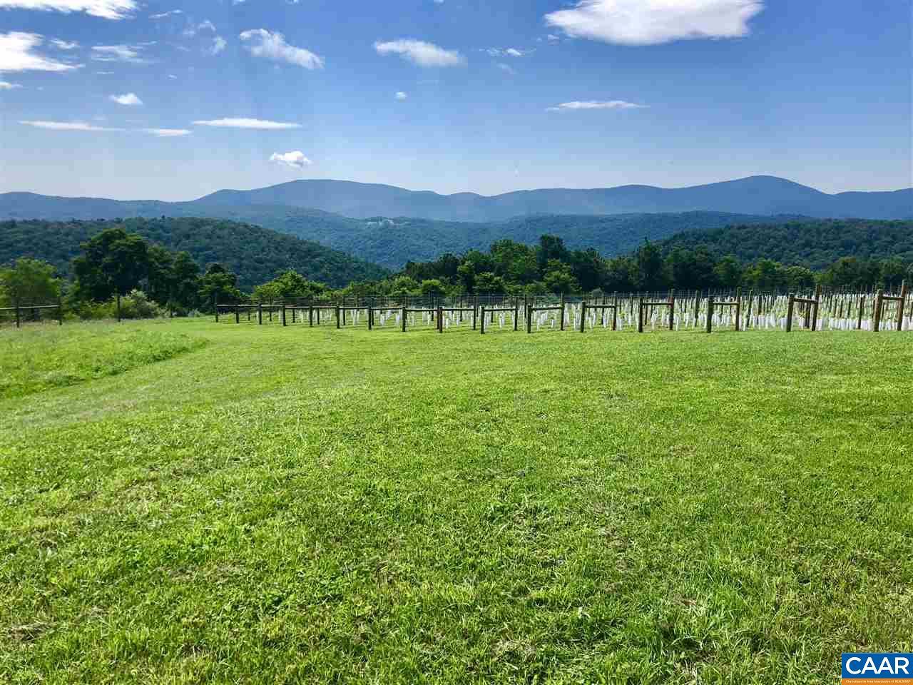 24967 Blue Ridge Pkwy - Photo 1