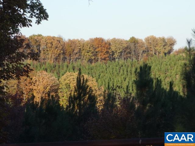 Hunting Lodge Rd - Photo 1