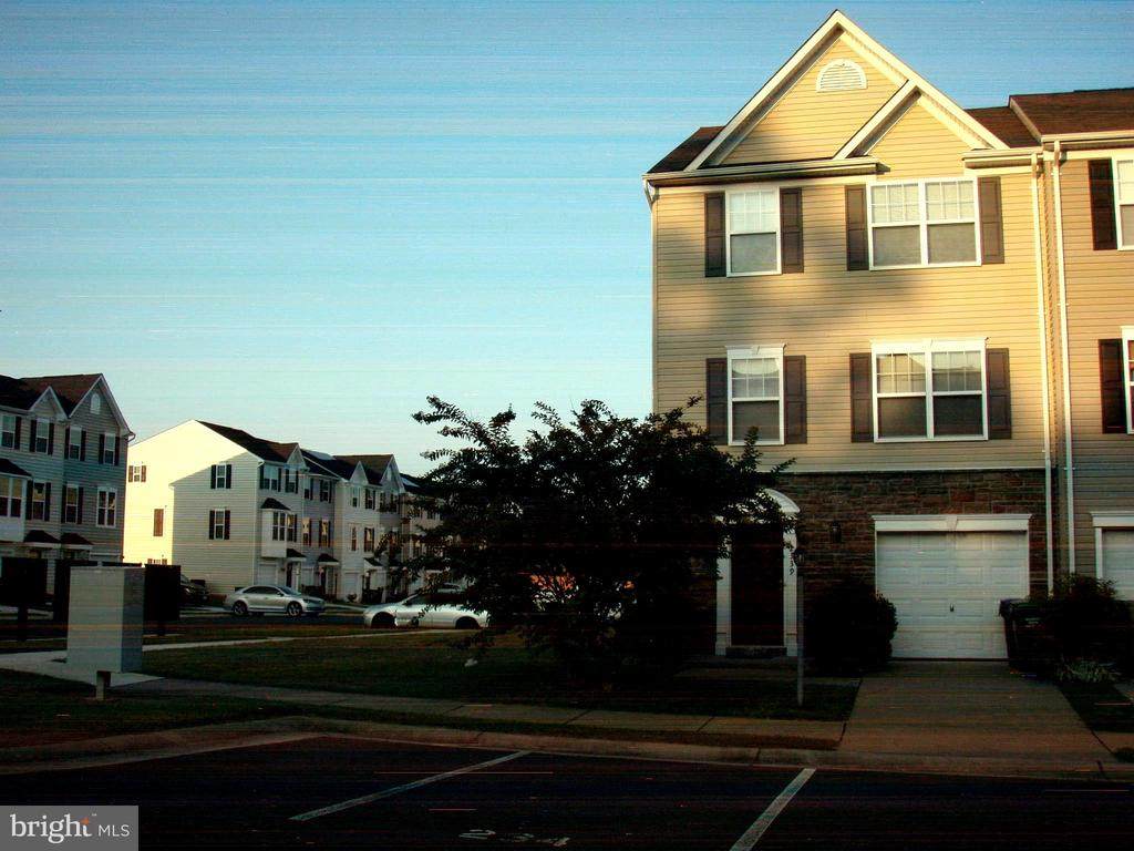 2339 Silver Fox Way - Photo 1