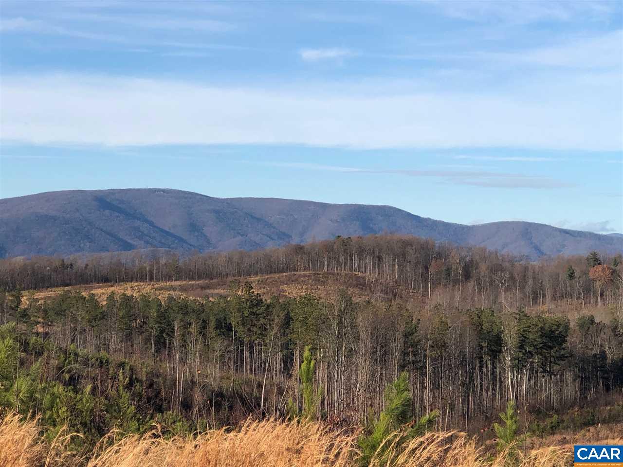0 Pounding Creek Rd - Photo 1