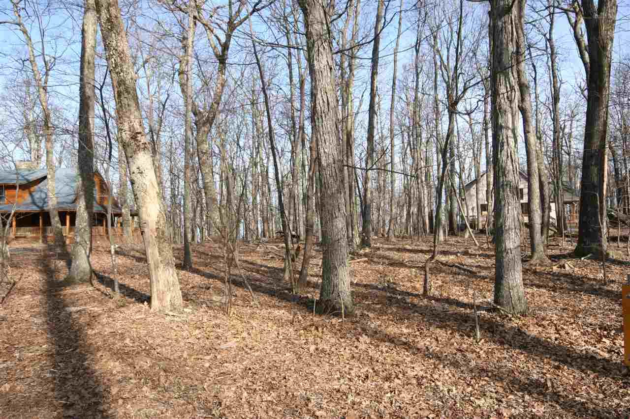 1449 Laurel Springs Dr - Photo 1