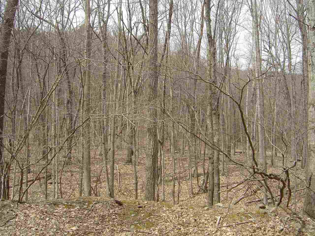 5723 Doe Hill Rd - Photo 1