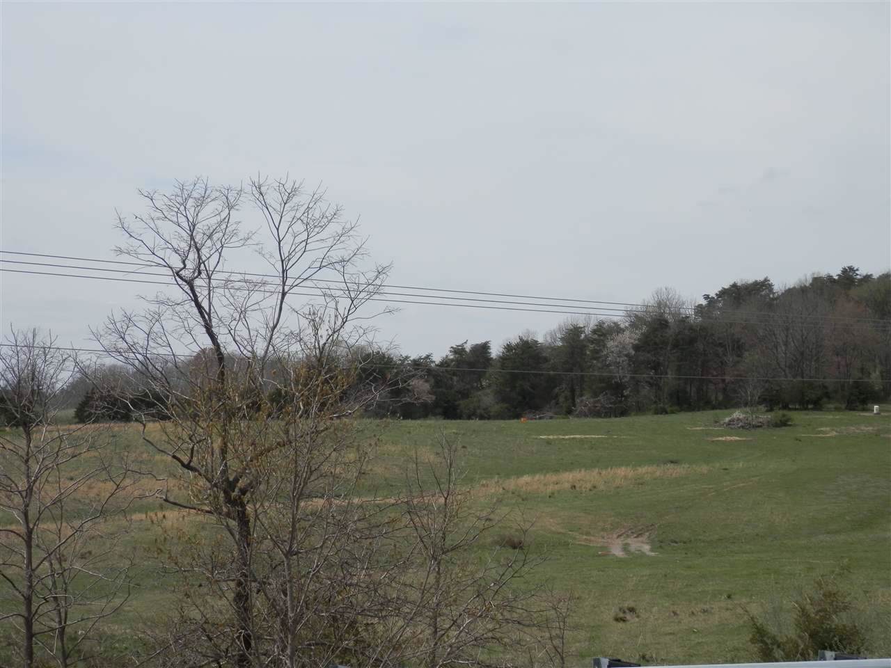 TBD Mule Academy Rd - Photo 1