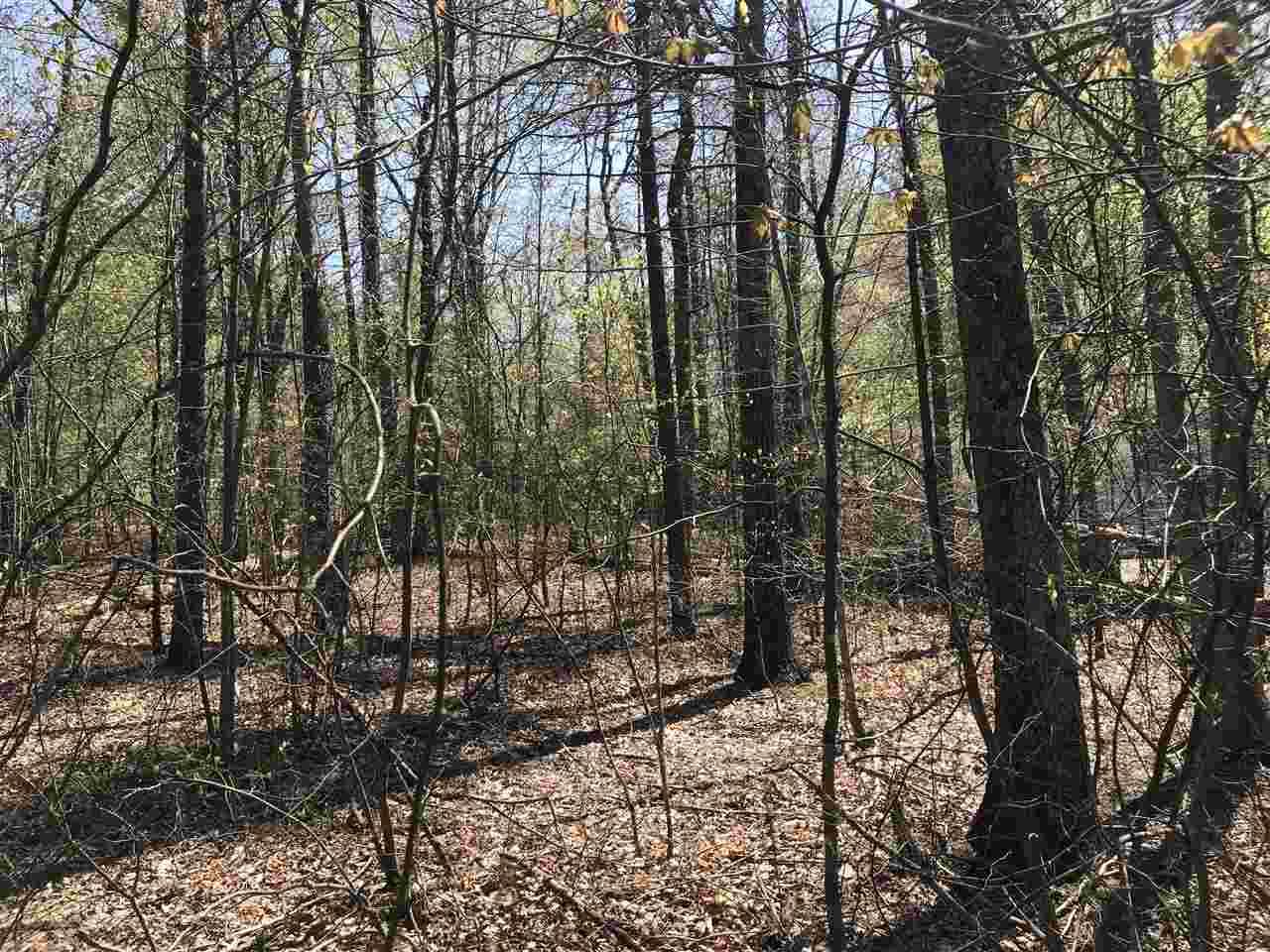75 Barn Owl Ln - Photo 1