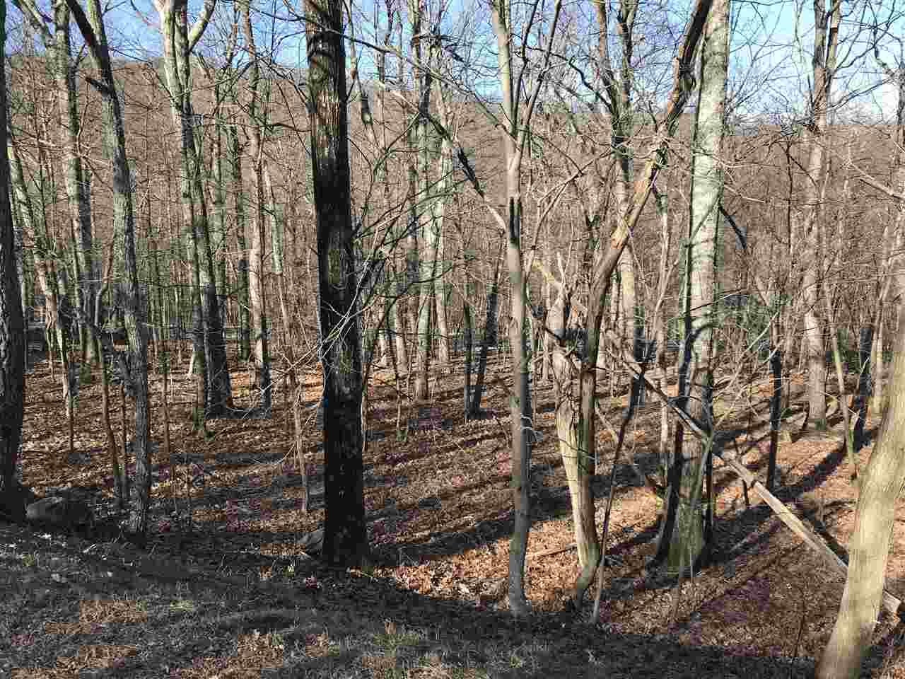 107 Den Tree Ln - Photo 1
