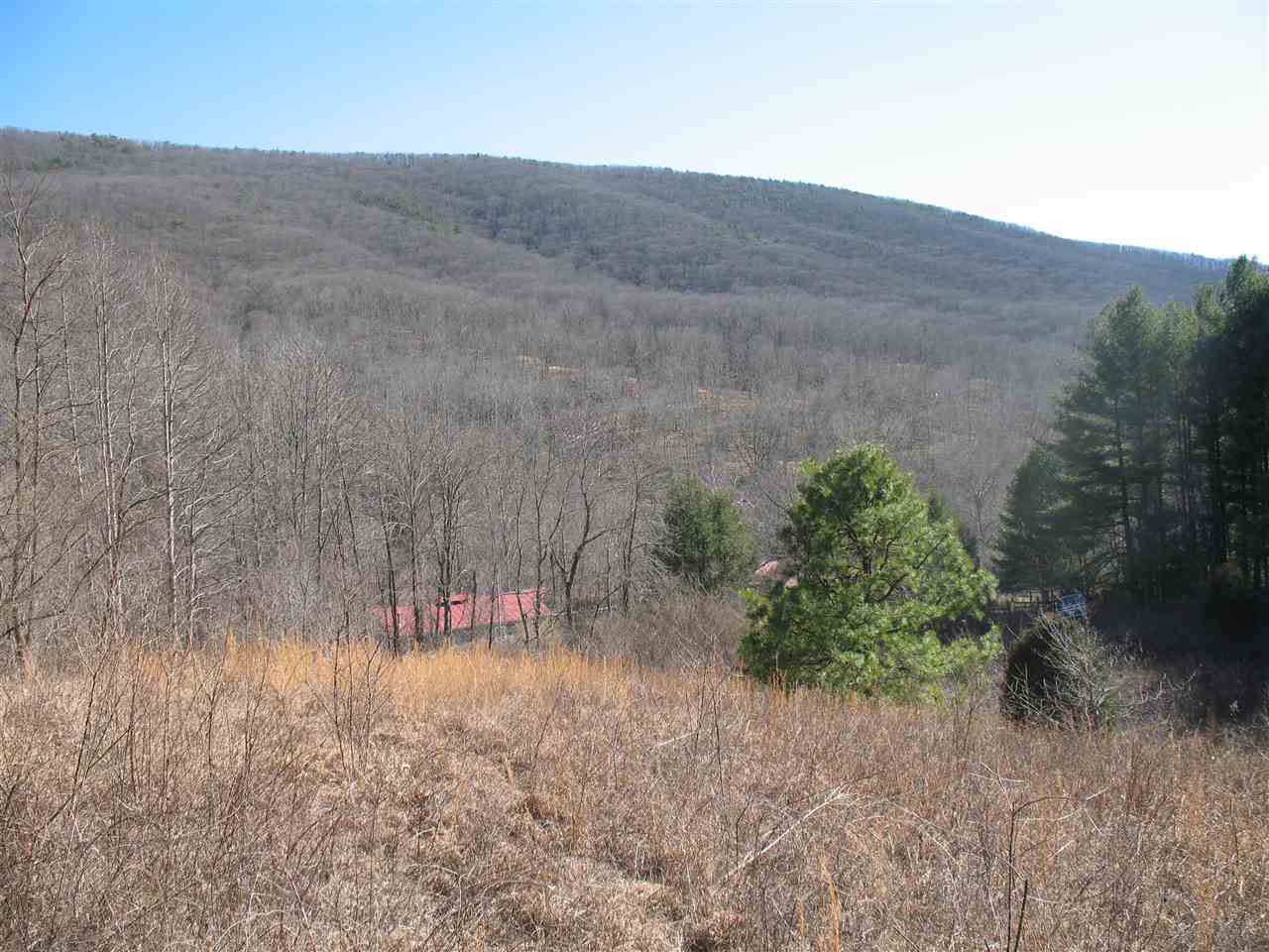 TBD Dry Run Rd - Photo 1