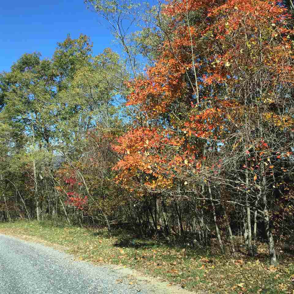 Lot 20 Peaksview Dr - Photo 1
