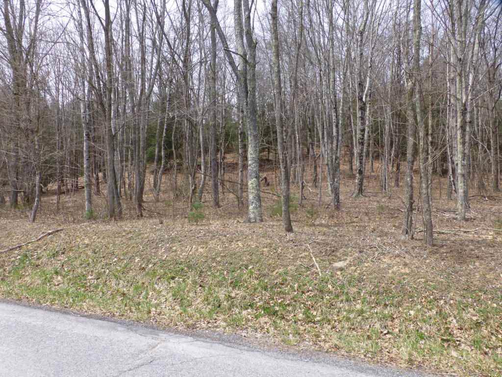Upper Back Creek Rd - Photo 1 Upper Back Creek Rd - Photo 1