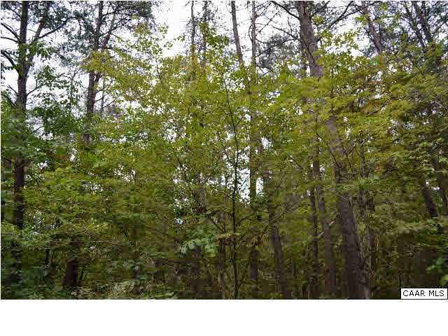 LOT 111 William Monroe Trl - Photo 1