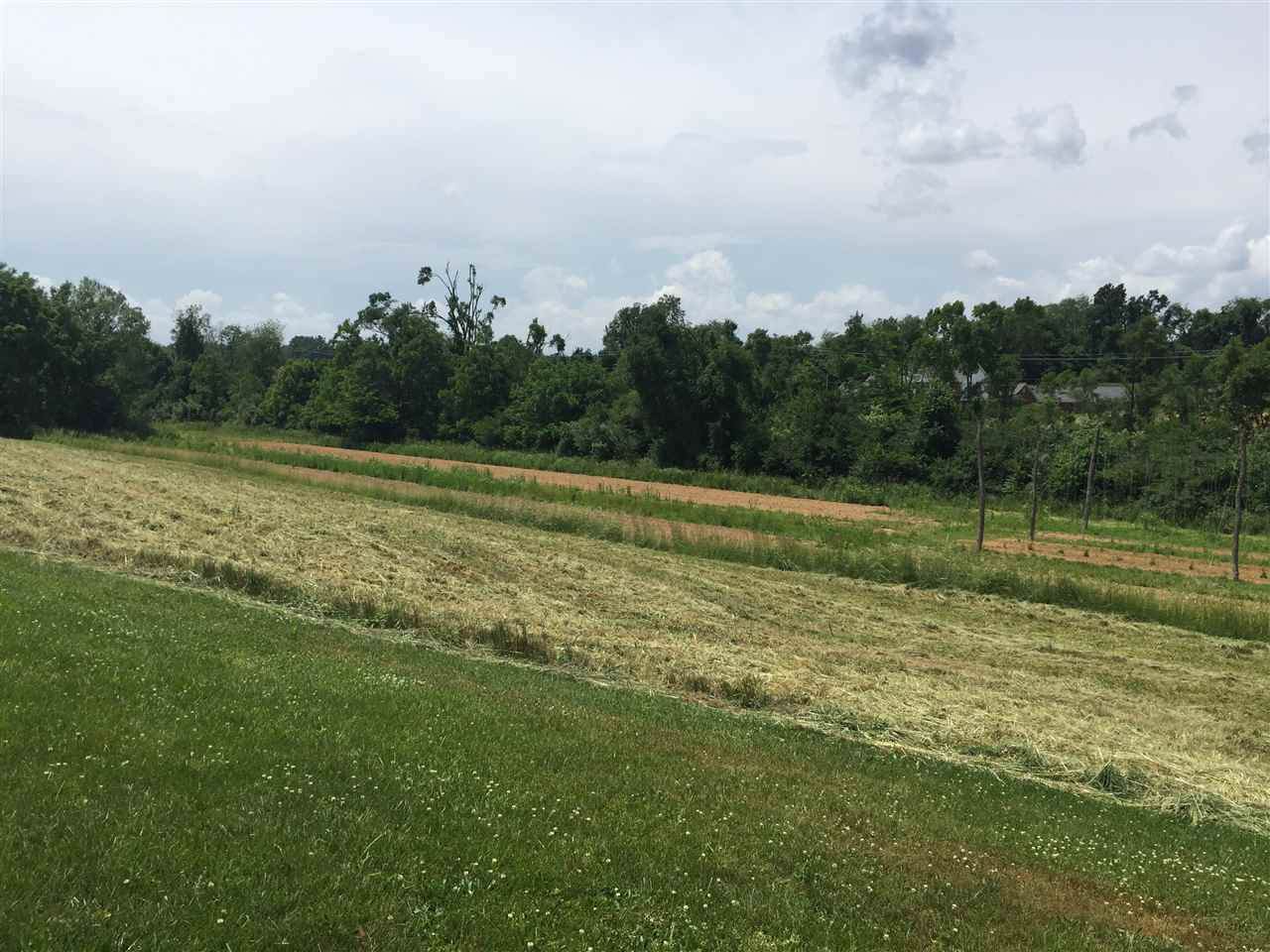 Hopeman Pkwy - Photo 1