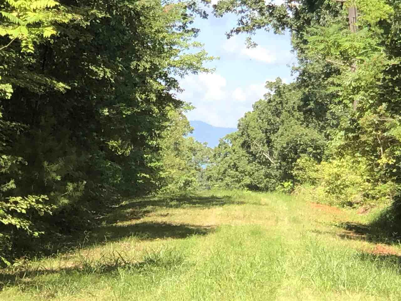 TBD Hayshed Rd - Photo 1
