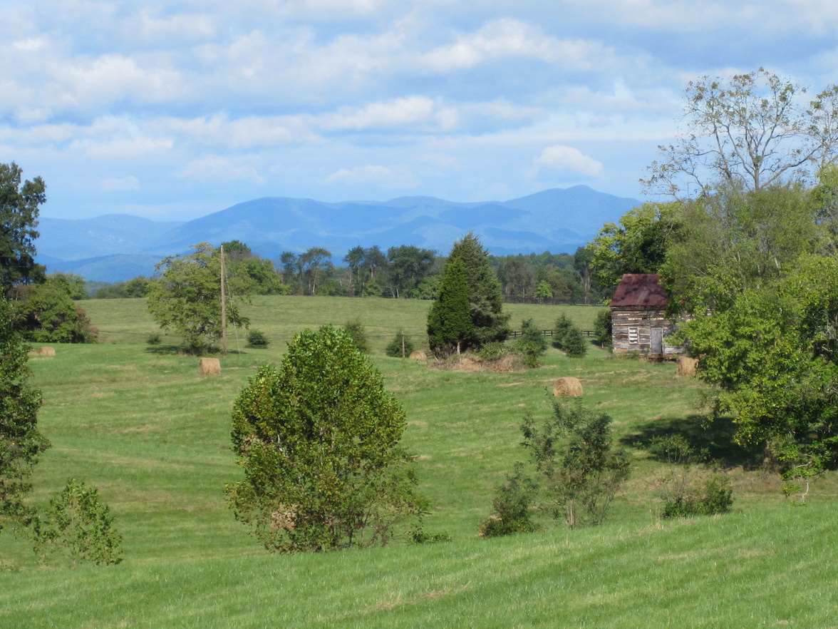 13064 Constitution Hwy - Photo 1