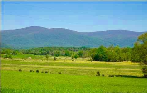 0 Fredericksburg Rd - Photo 1