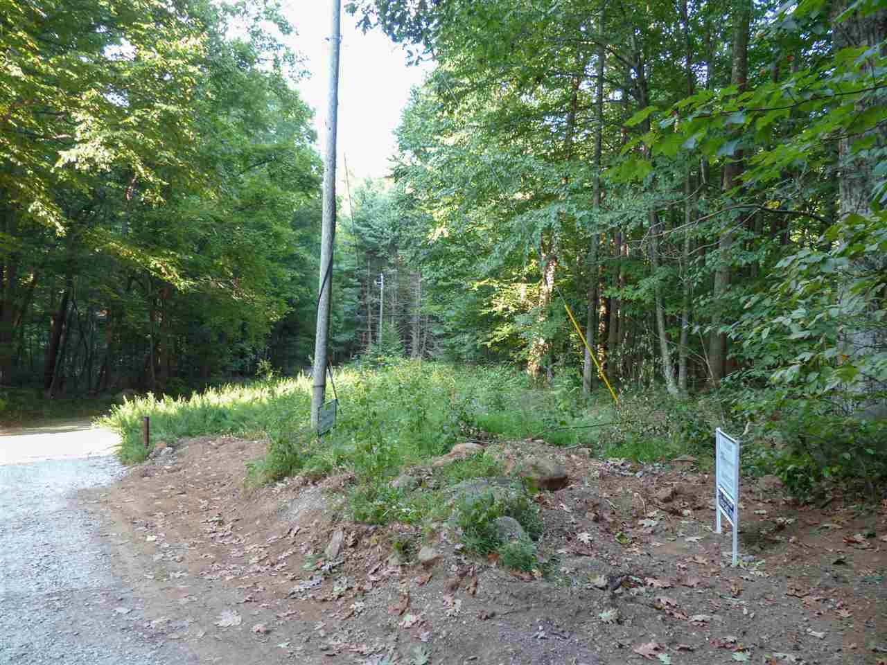 Lot 1B Cub Creek Rd - Photo 1