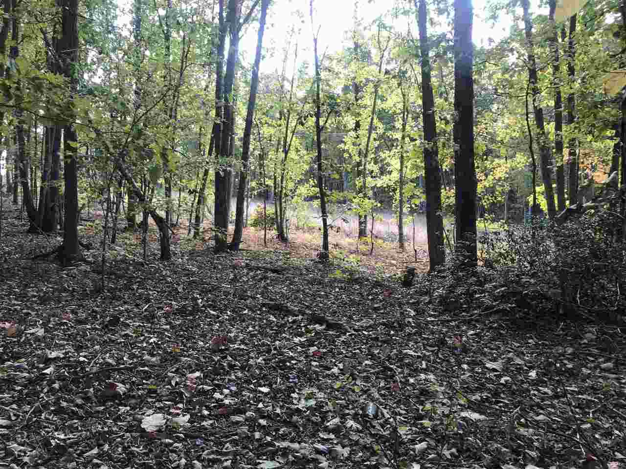 Tye River Rd - Photo 1