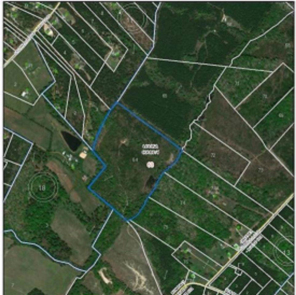 LOT 64 Eastham Rd - Photo 1