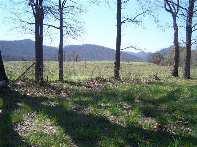 46 ac off Wesley Ln - Photo 1