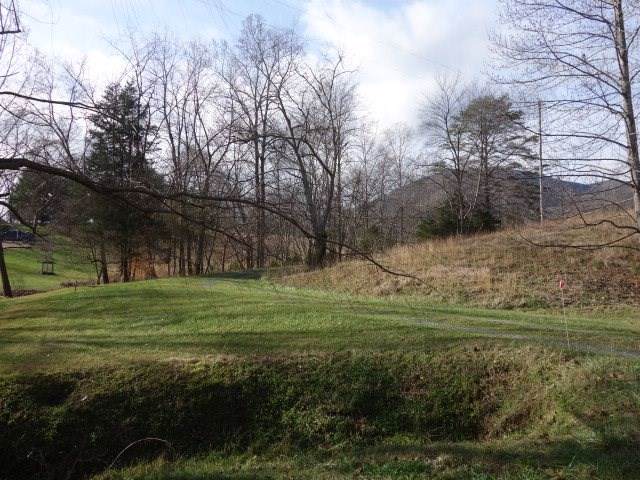 0 Stonegate Ln - Photo 1
