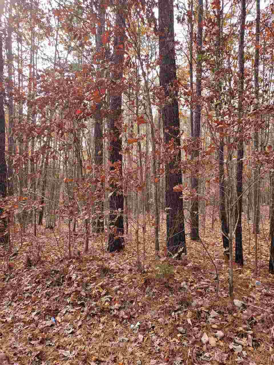0 Scotts Bottom Rd - Photo 1