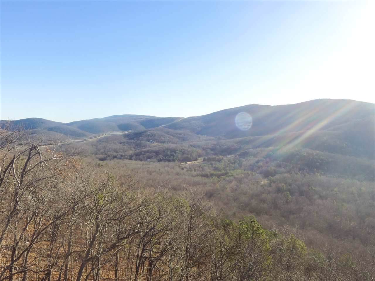 tbd 1 Fox Run Ln - Photo 1