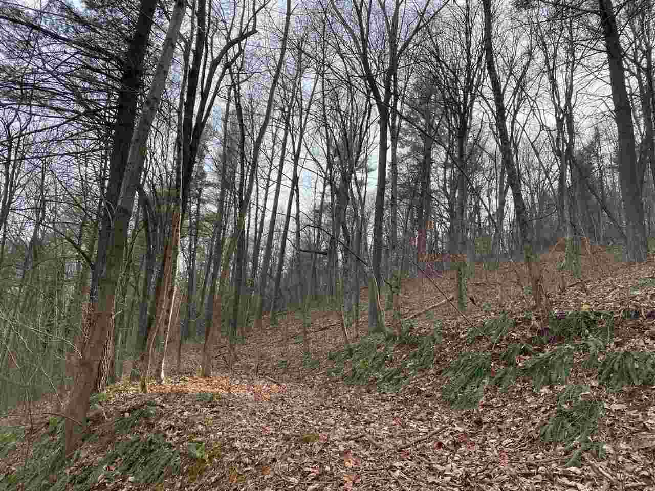 .94 Ac Friendly Ln - Photo 1